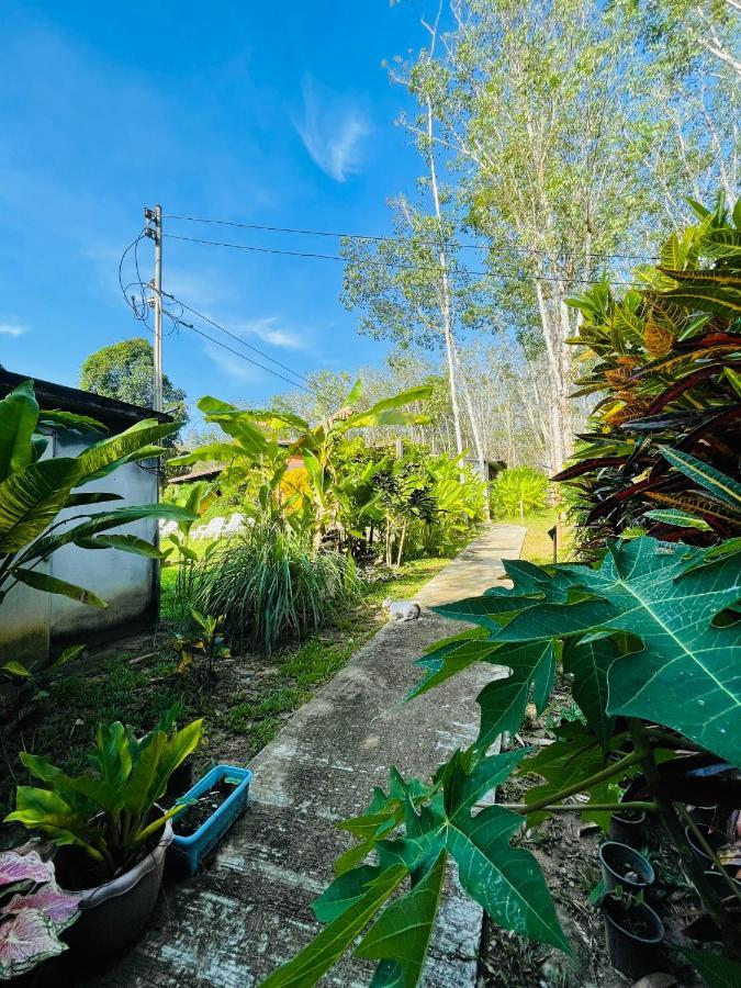 Lok Mun Bungalows ヤオノイ島 エクステリア 写真